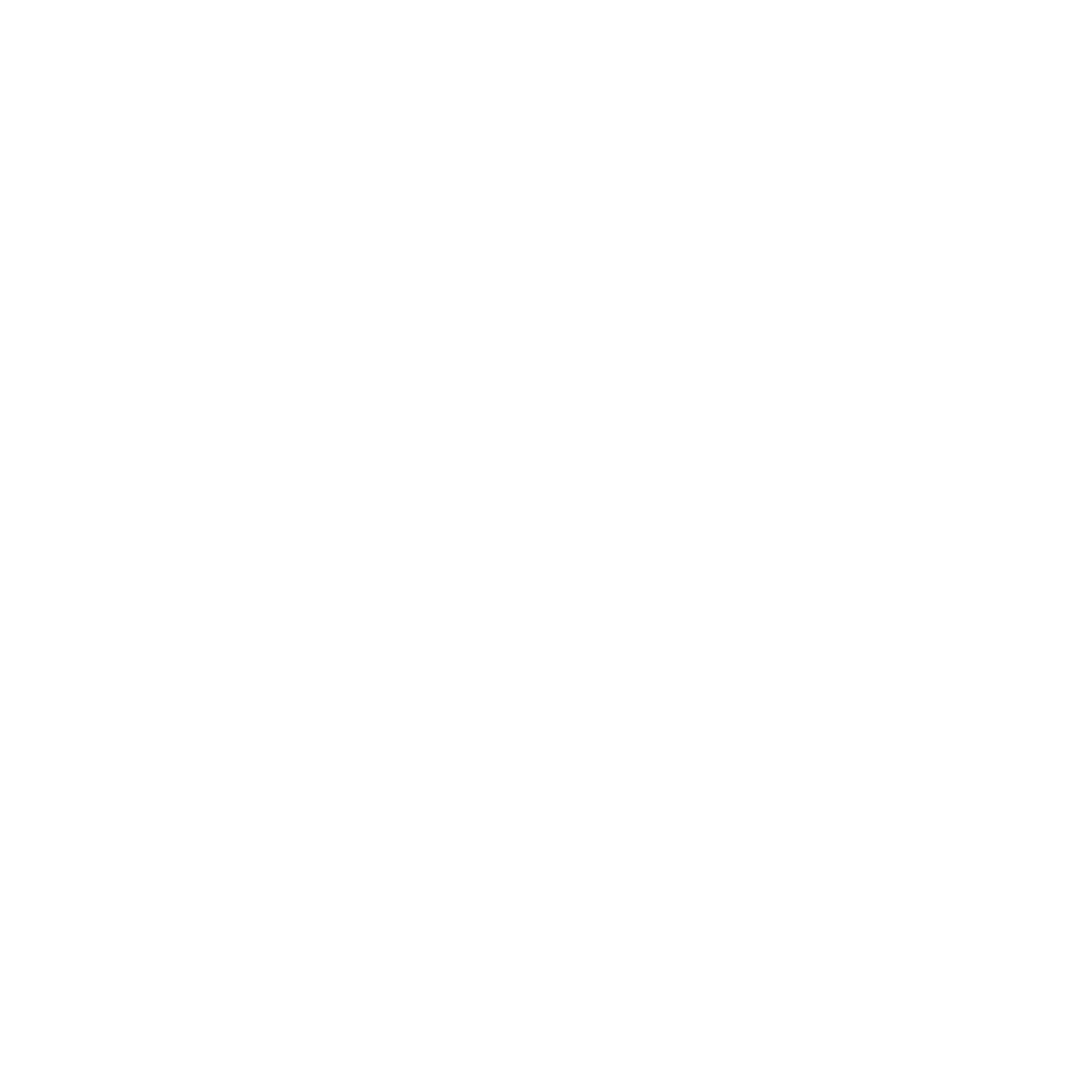 1x Company Profile Video