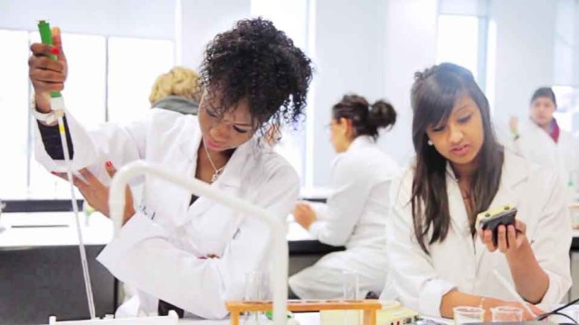 SFC Career Pathways