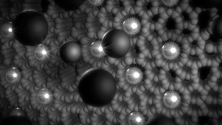 biomaster microscopic level