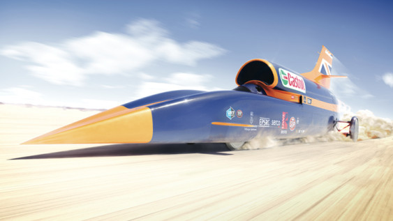 bloodhound