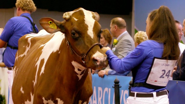 uk dairy day